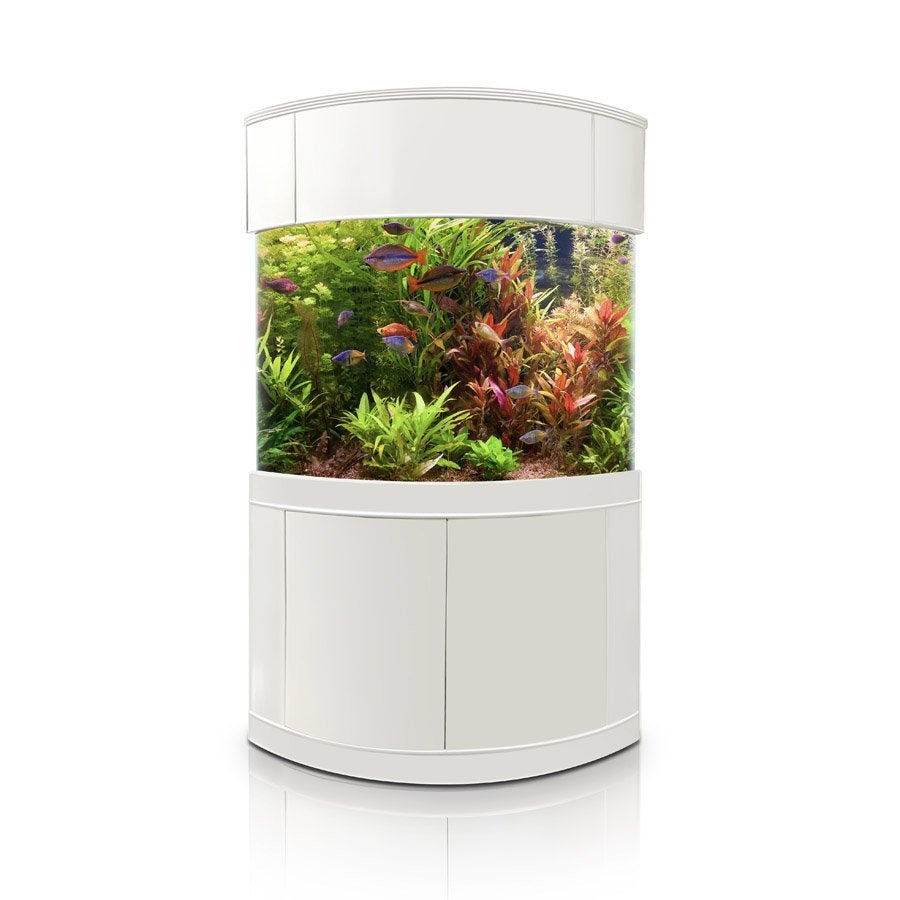 Glass Corner by AQUA VIM