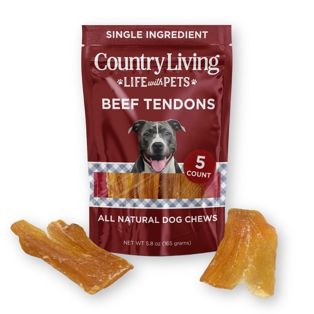 Country Living 4”-7” Beef Backstrap Tendon Dog Chews – 5 Count Bag – All-Natural, Long-Lasting, High-Protein Dog Treats – Single-Ingredient, Grain-Free by American Pet Supplies