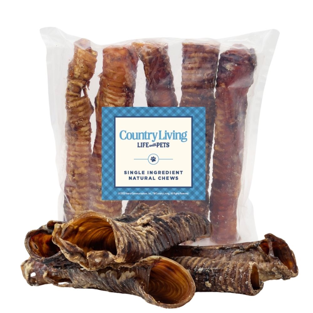 Country Living All-Natural Beef Trachea Dog Treats, Protein-Packed Chews – 12 Inches (5-Pack) by American Pet Supplies