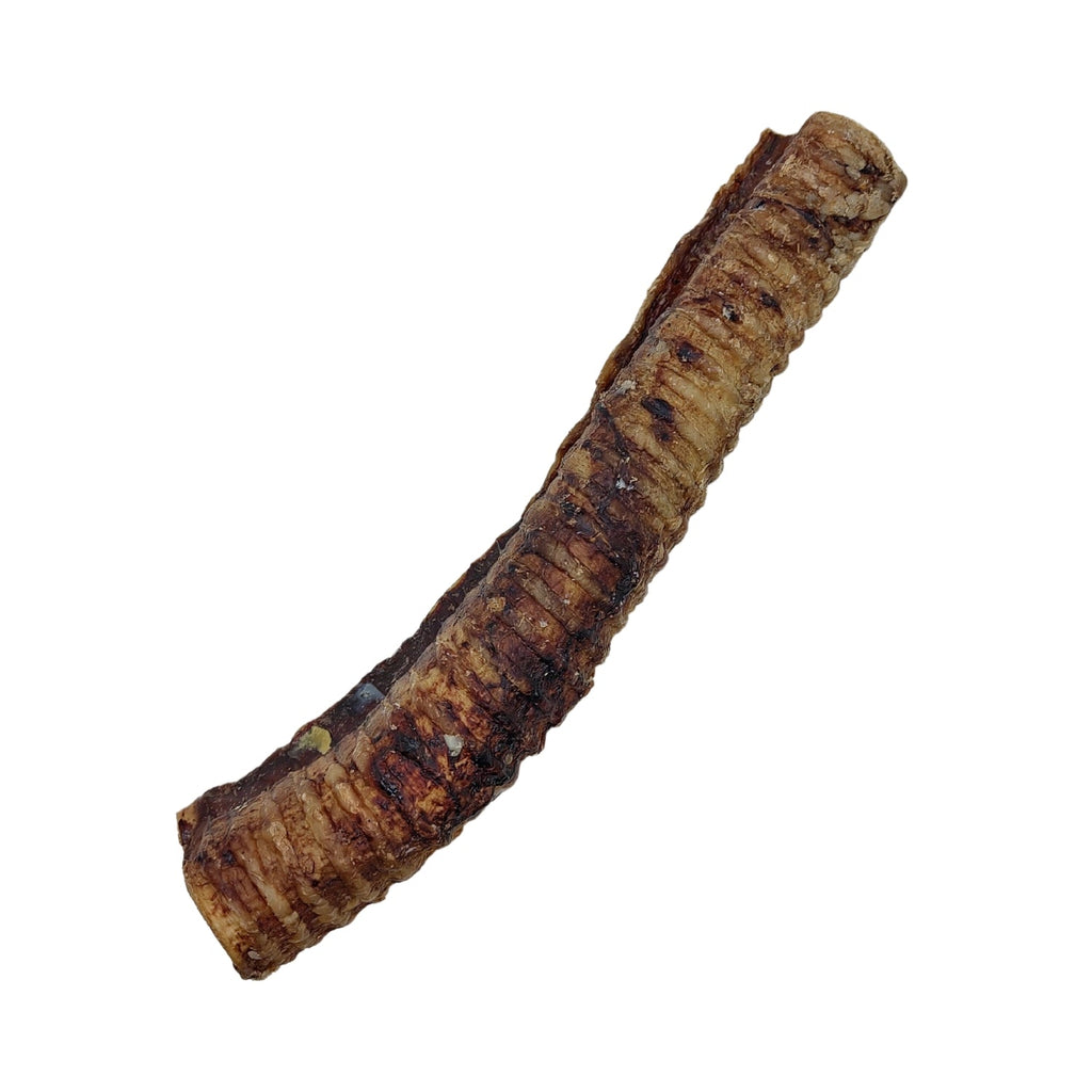 Country Living All-Natural Beef Trachea Dog Treats, Protein-Packed Chews – 12 Inches (5-Pack) by American Pet Supplies