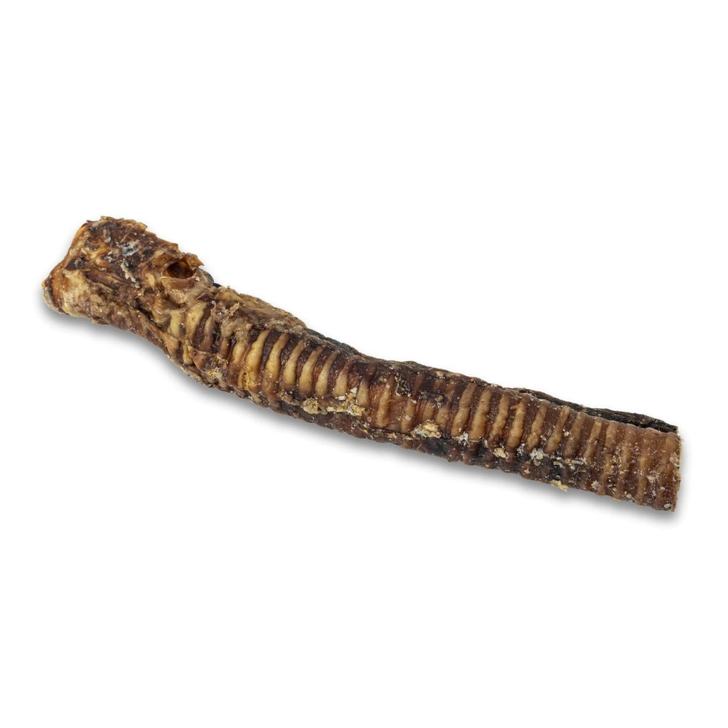 Country Living All-Natural Beef Trachea Dog Treats, Protein-Packed Chews – 12 Inches (5-Pack) by American Pet Supplies