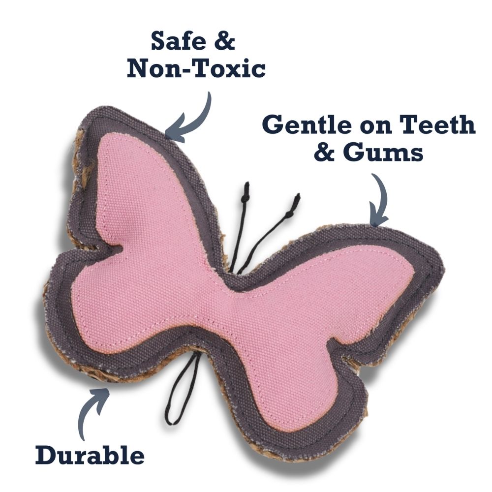 Country Living Canvas & Jute Butterfly-Shaped Dog Chew Toy – Durable, Safe and Non-Toxic by American Pet Supplies