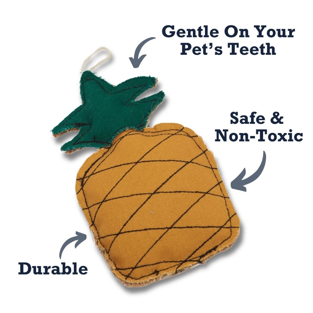 Country Living Canvas & Jute Pineapple-Shaped Dog Chew Toy – Durable, Safe and Non-Toxic by American Pet Supplies