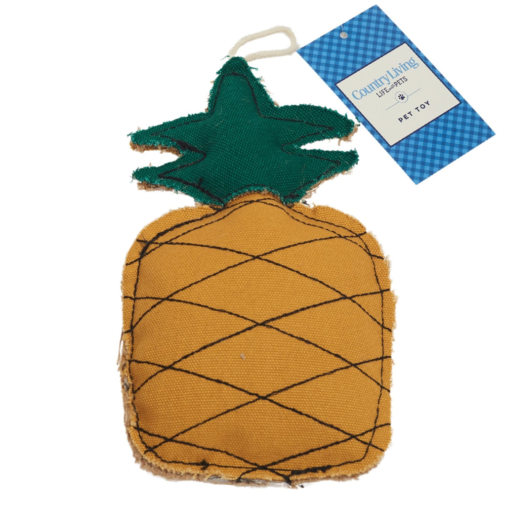 Country Living Canvas & Jute Pineapple-Shaped Dog Chew Toy – Durable, Safe and Non-Toxic by American Pet Supplies