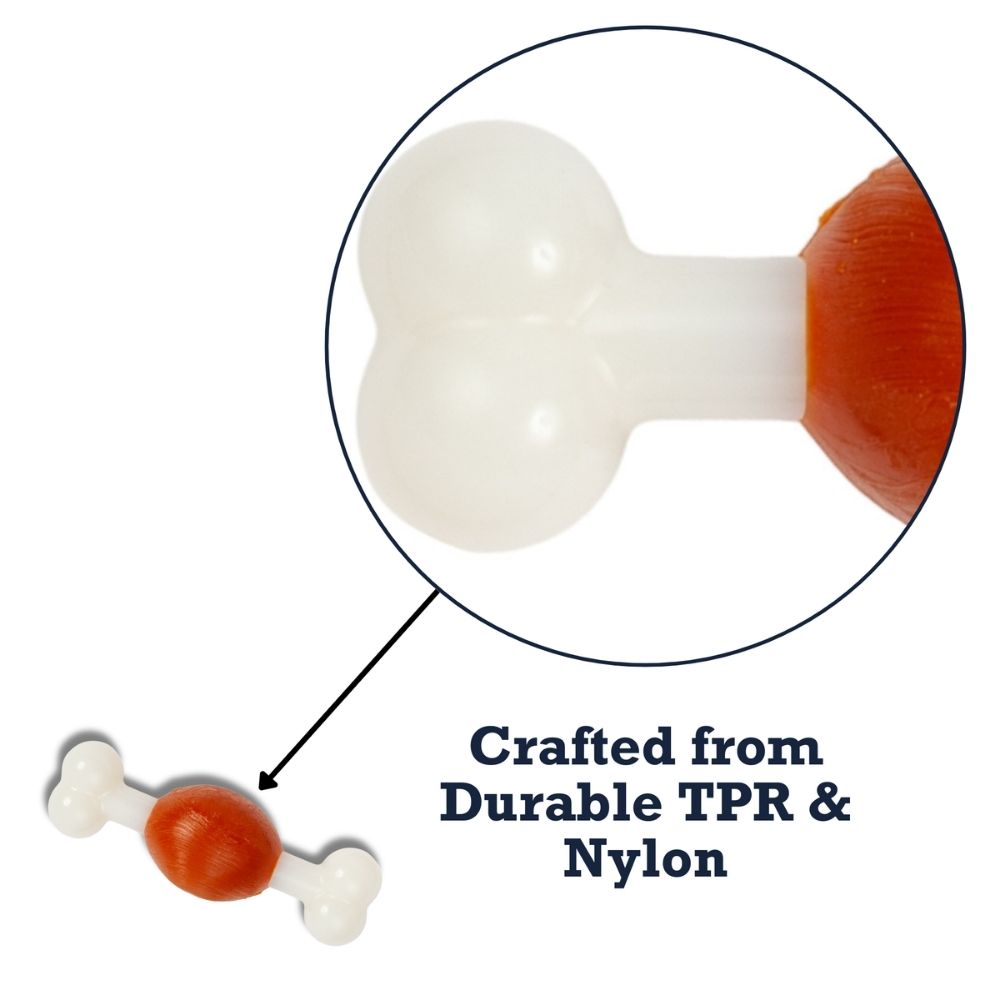 Country Living TPR & Nylon Bone Dog Chew Toy - Beef-Flavored, Ideal for Small Dogs by American Pet Supplies