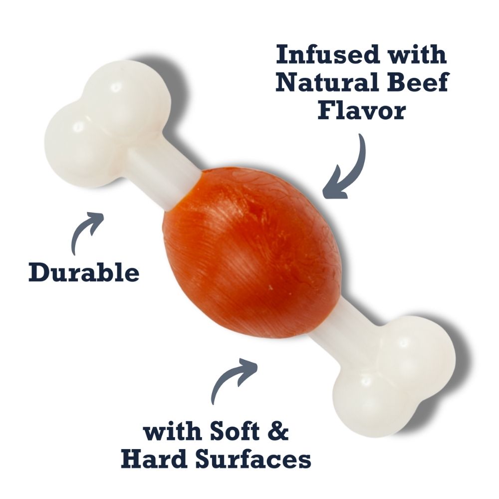 Country Living TPR & Nylon Bone Dog Chew Toy - Beef-Flavored, Ideal for Small Dogs by American Pet Supplies