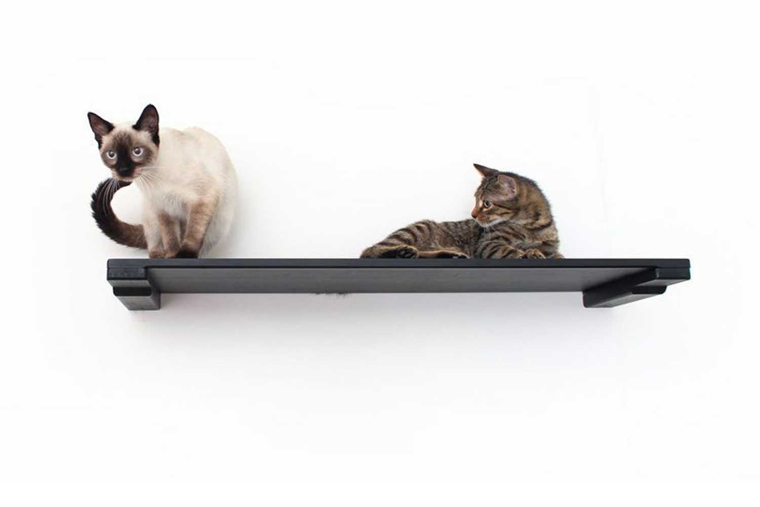 Wall Mounted Cat Shelf by Catastrophic Creations