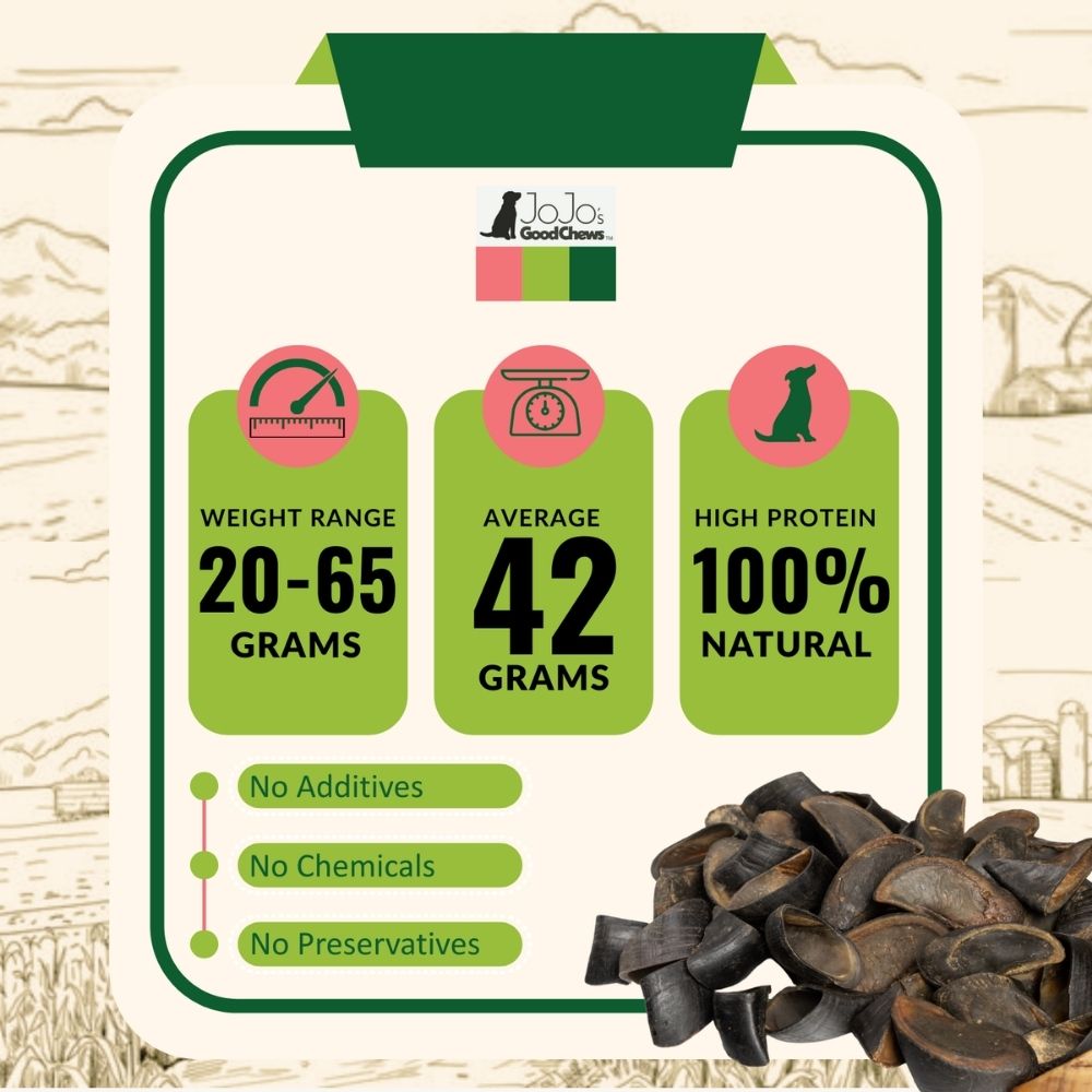 All-Natural Cow Hooves Dog Chews – Premium Crunchy Treats for Dental Health – (25/Case) by American Pet Supplies