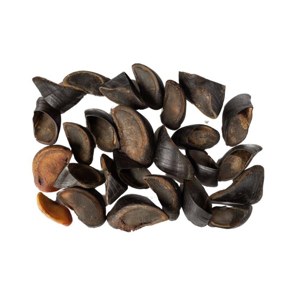 All-Natural Cow Hooves Dog Chews – Premium Crunchy Treats for Dental Health – (25/Case) by American Pet Supplies