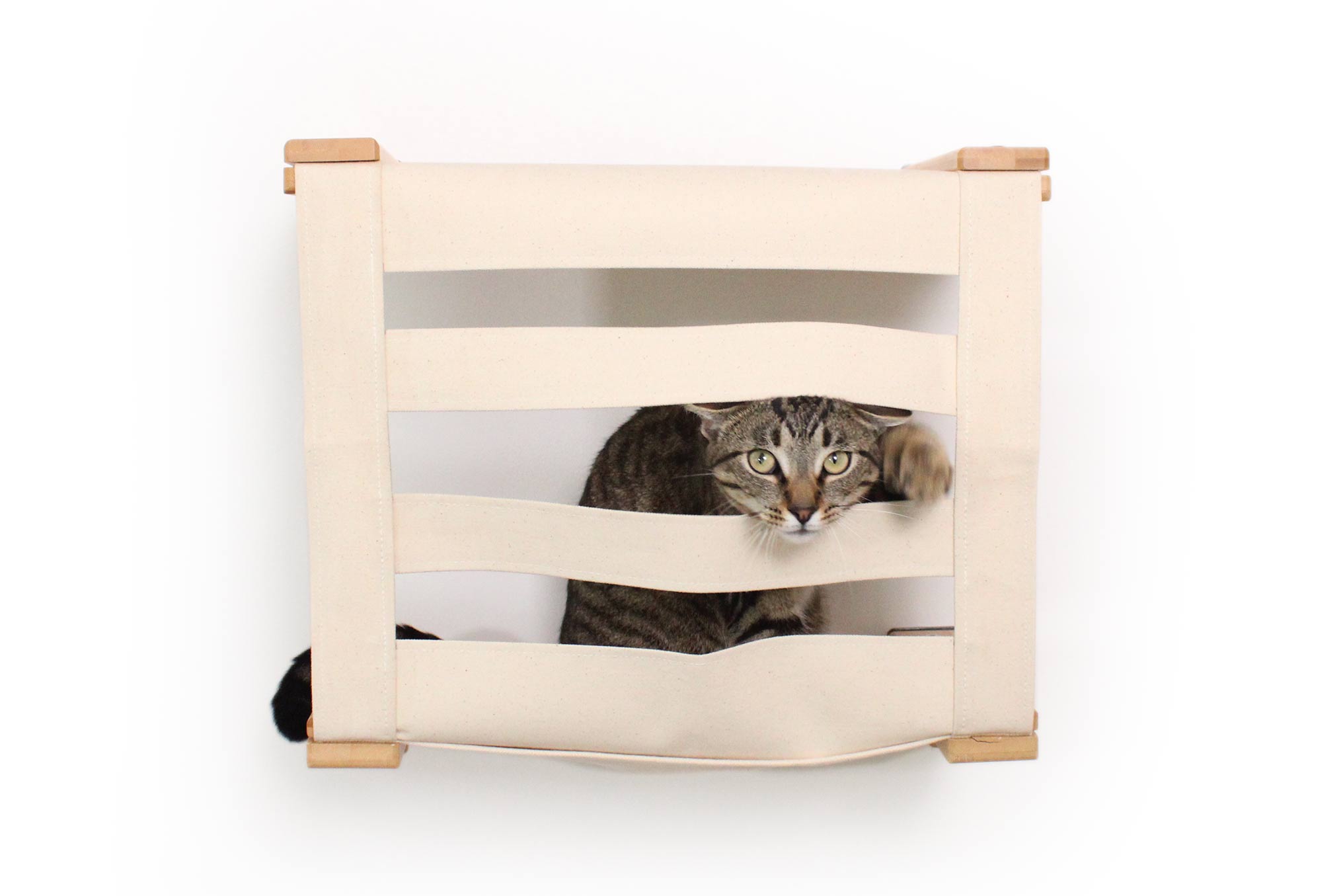 Enclosed Cat Bed - Cat Wall Cubby by Catastrophic Creations