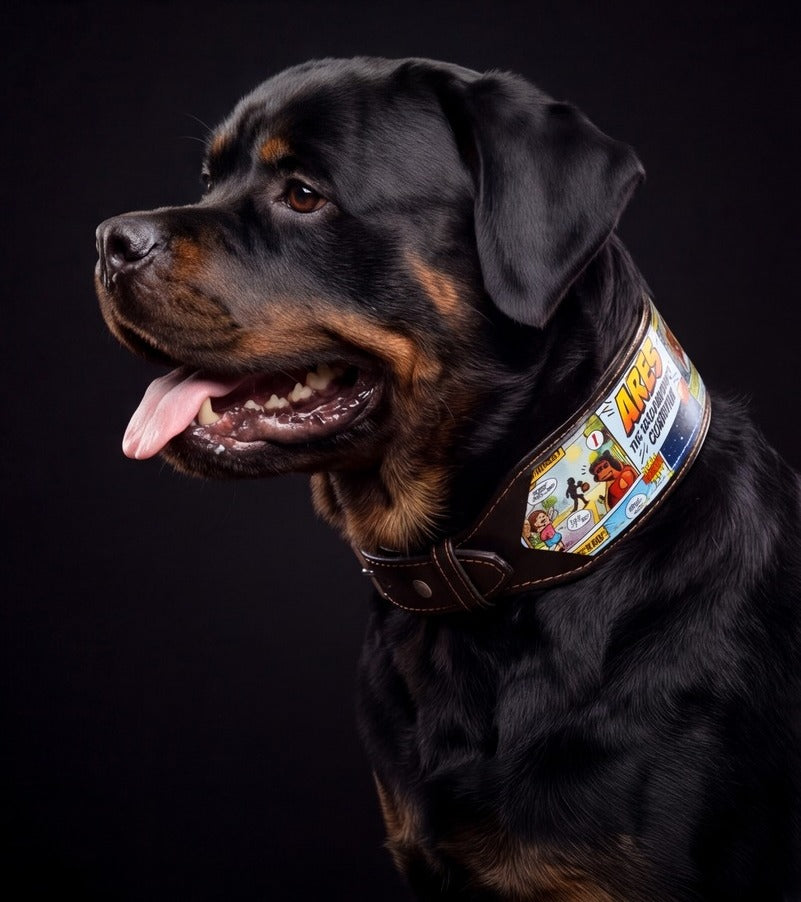 Bestia CUSTOM Collar - Make Your Own! by Bestia Dog Gear