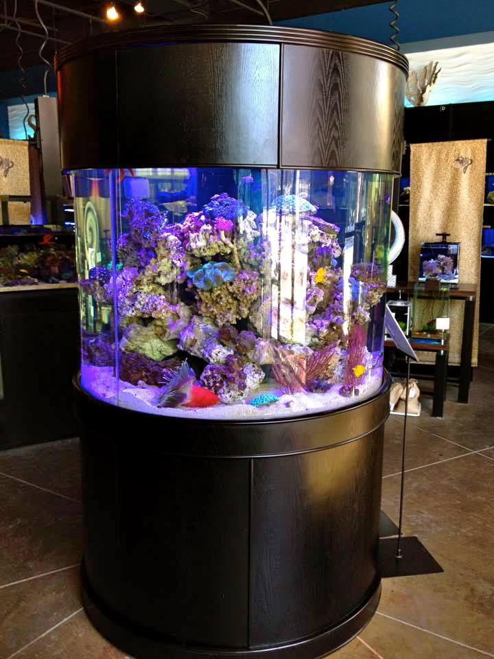 Glass Full Cylinder by AQUA VIM