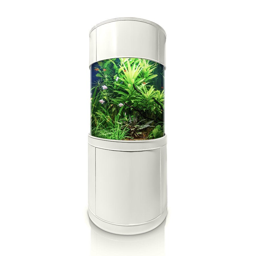 Glass Full Cylinder by AQUA VIM