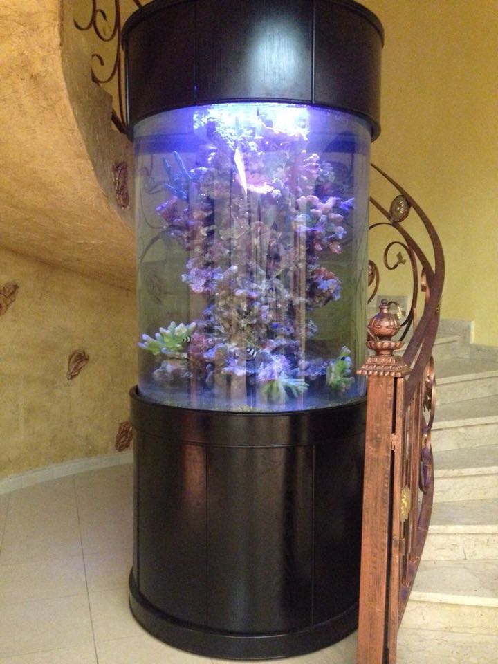 Glass Full Cylinder by AQUA VIM