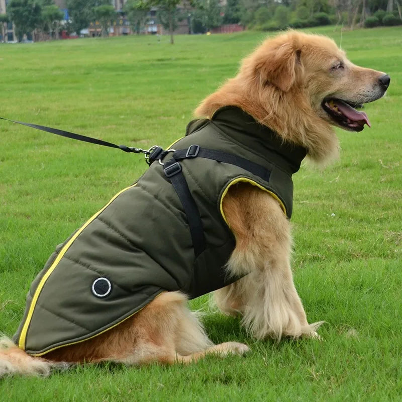 Winter Pet Jacket With Buckle by Love My Pet