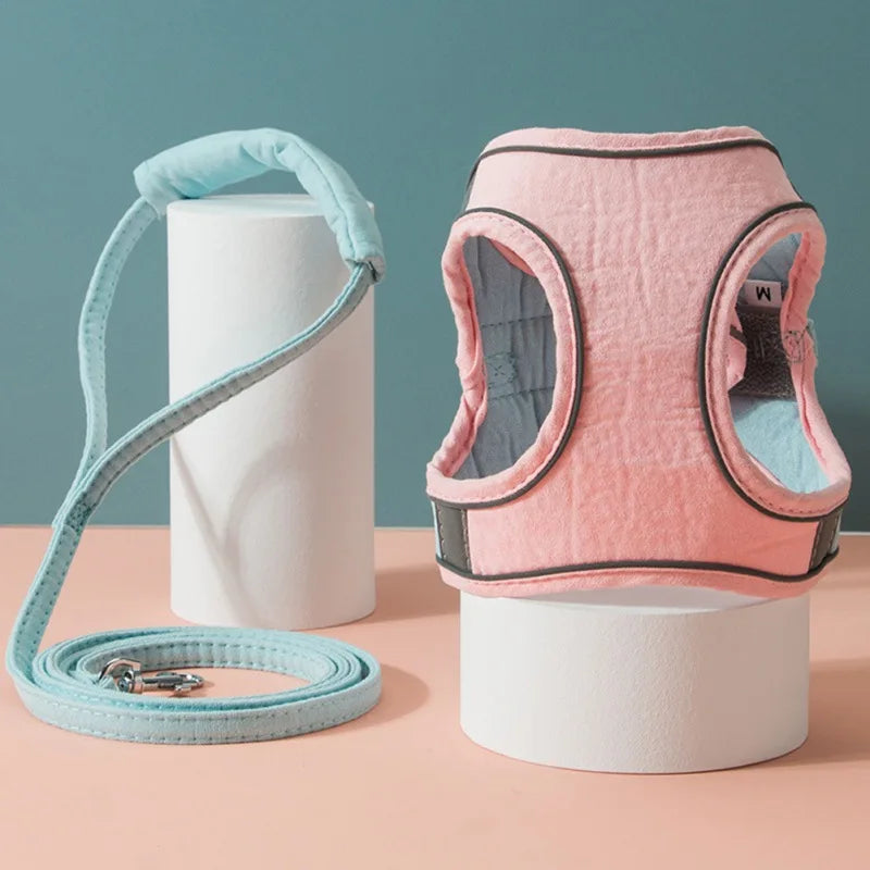 Pet Harness and Leash Set by Love My Pet