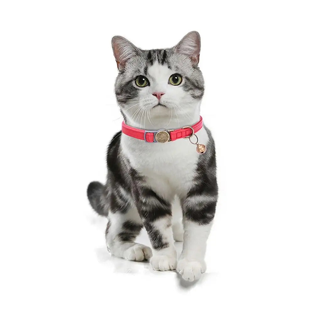 Fashion PU Leather Pet Collar by Love My Pet