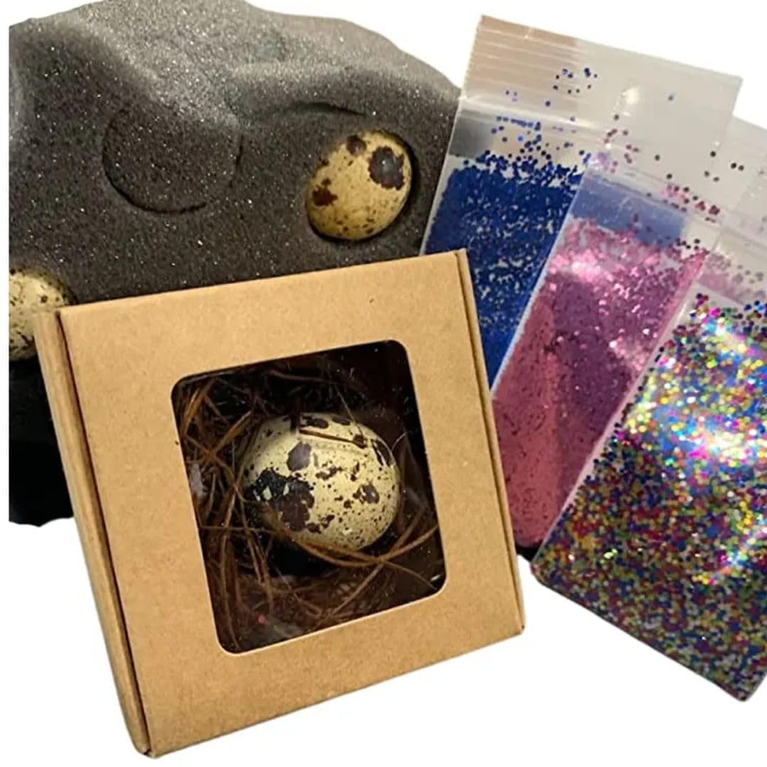 Gender Reveal Ideas: Quail Egg Pregnancy Announcement Kit for Family - Creative Baby Shower Activities & Memorable Baby's Gender Reveal comes with 3 Hollow Quail eggs, glitter, and a craft box by Quailz.com by Undique LLC