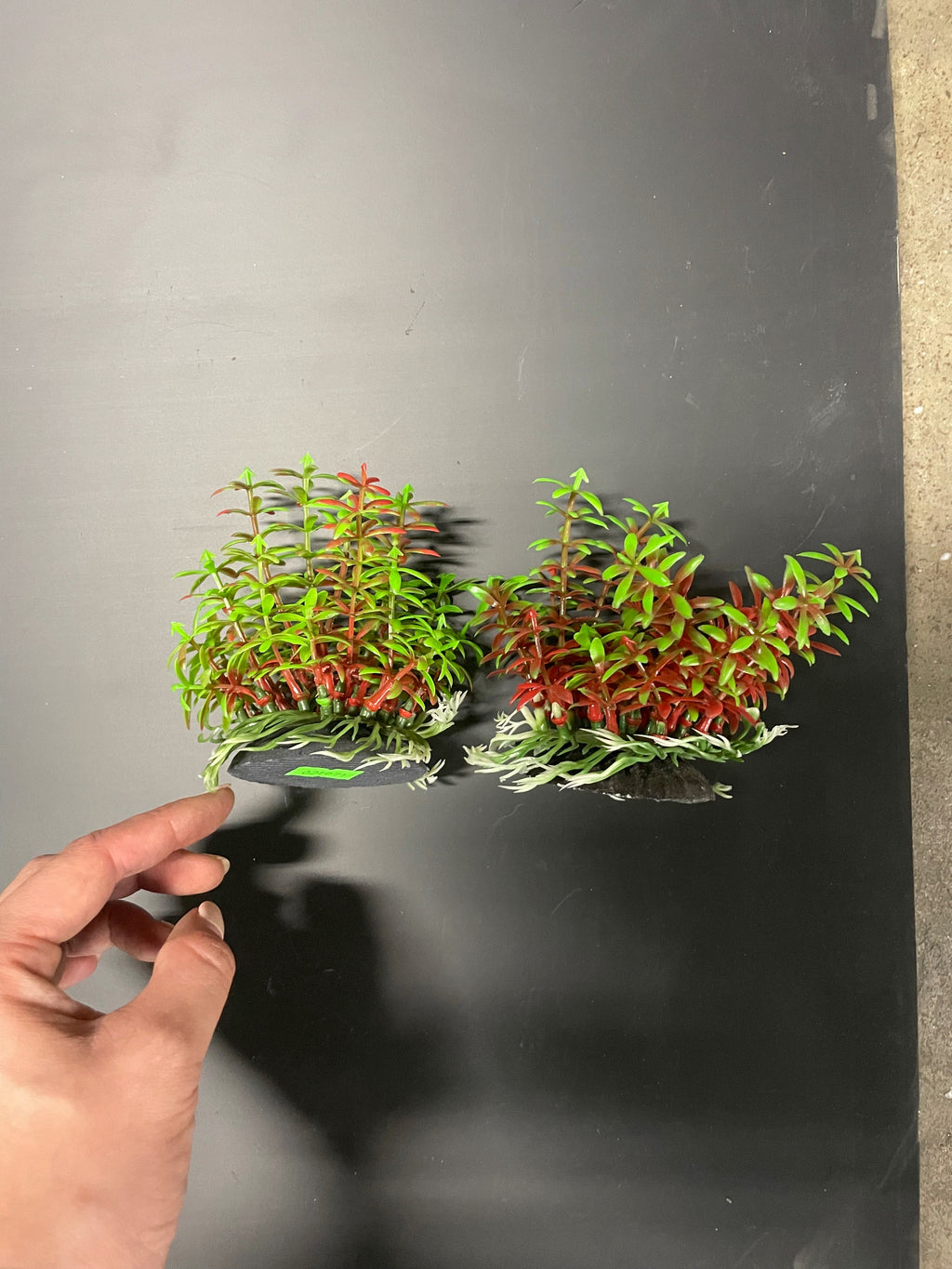 PREMIUM Small Artificial Aquarium Plants - Set of 2 - Aquatics Safe by Northeast Aquariums LLC