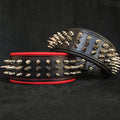 "Danger" collar by Bestia Dog Gear