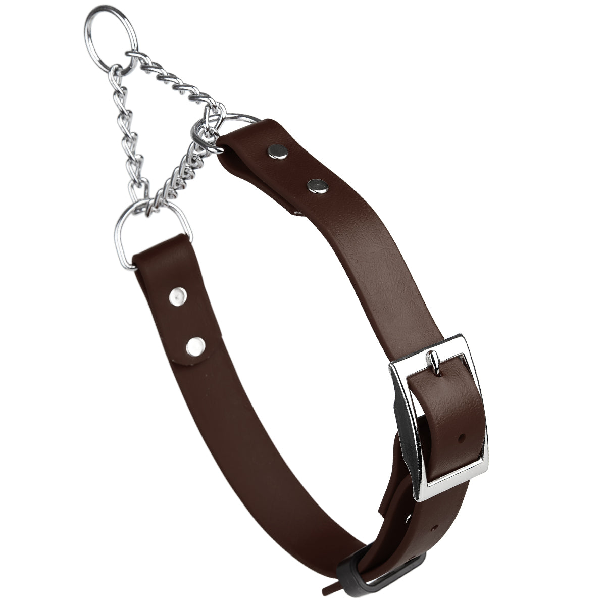 Biothane Adjustable Martingale Collar with Metal Buckle by Dogline