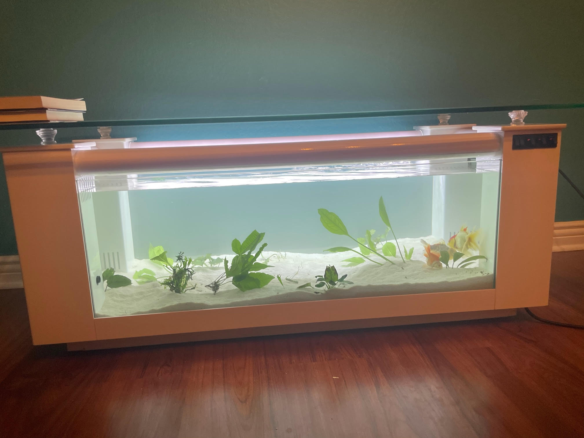 WARRANTY INCLUDED! 45 gallon GLASS rectangle table aquarium fish tank full setup by Northeast Aquariums LLC