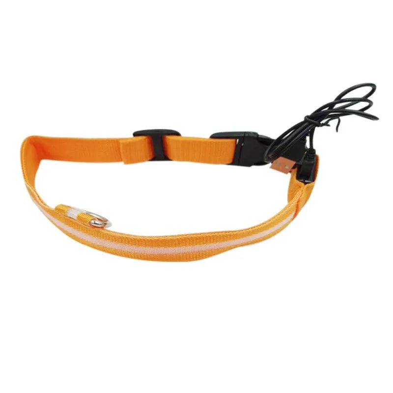 Nylon LED Pet Dog Collar USB Charging by Love My Pet