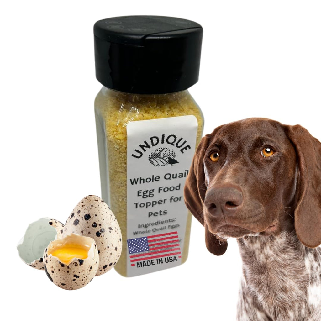 Quailicious Boost Pet Food Enhancer - Healthy Dog Food Topper with Whole Quail Eggs - Pet Health Supplements for Energy, Immune Function, Shiny Coat & Skin - Omega-3 & Omega-6 Rich by Quailz.com by Undique LLC