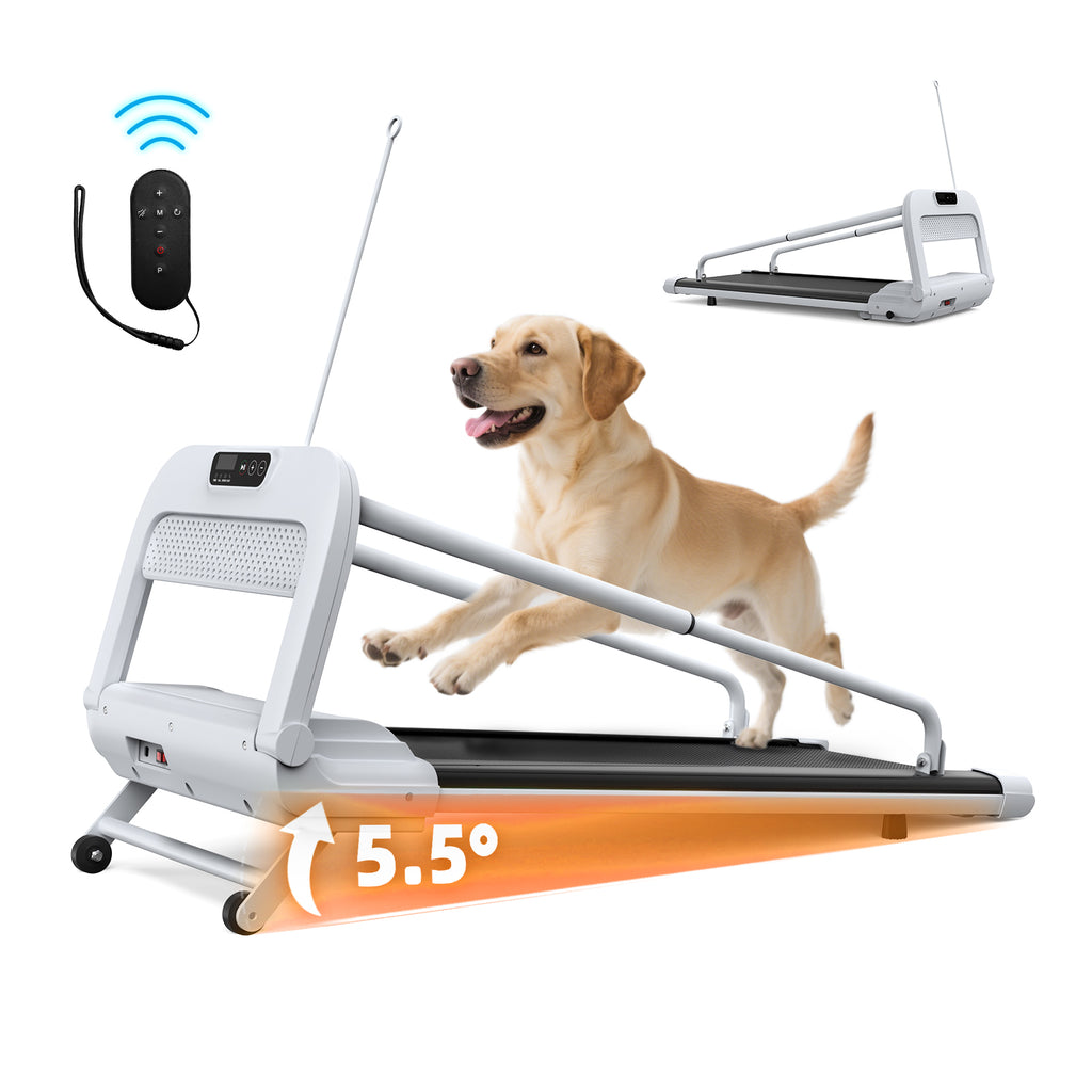 2025 New Quiet Smart Pet Treadmill, Adjustable Speed, Perfect For Small Medium Dogs by Amazing Pet Bargains