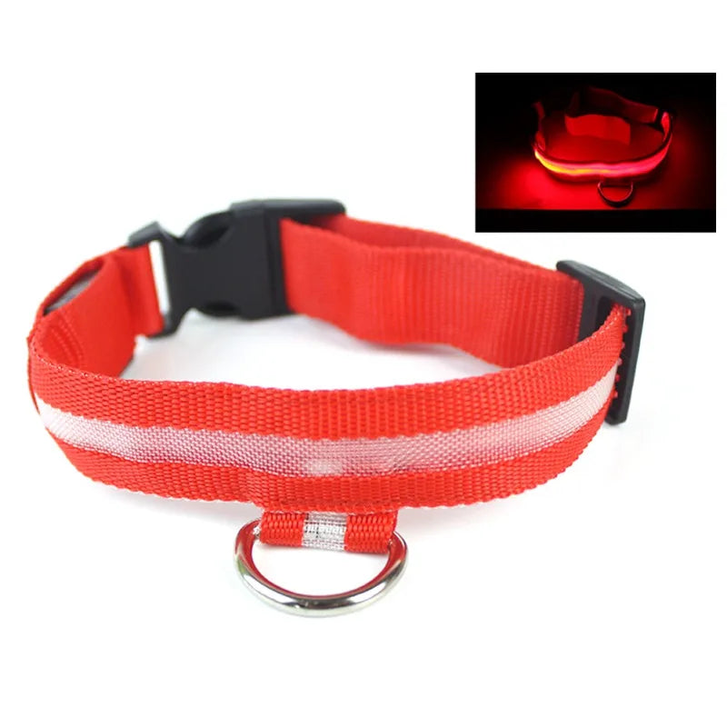 Nylon LED Pet Dog Collar USB Charging by Love My Pet
