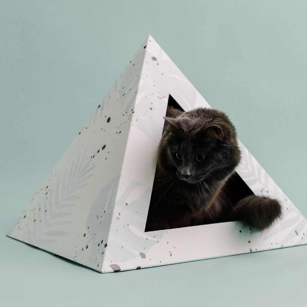 Oasis Cardboard Cat Pyramid by KittyKardboard