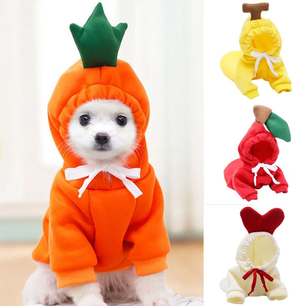 Cute Colorful Pet Clothing by Love My Pet