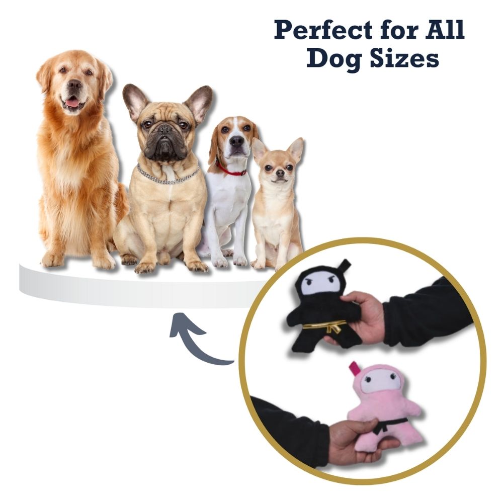 Pink & Black Ninja Love Plush Dog Toy Gift Set – with Squeaker & Crinkle Paper for Fun Play by American Pet Supplies