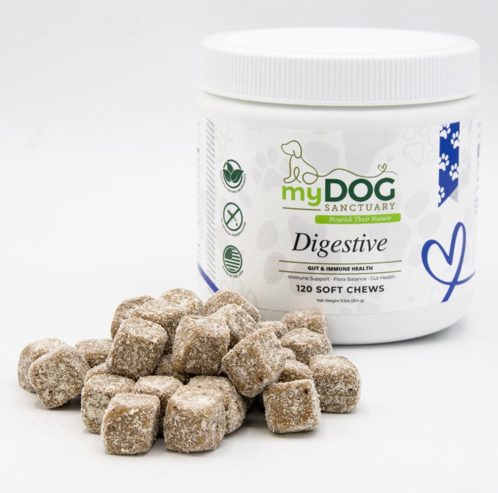 Gut Garden Digestive Support Chews by My Dog Sanctuary