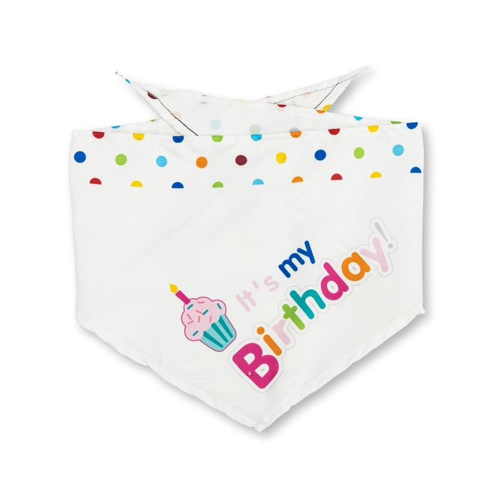 4-Piece Dog Birthday Kit – Celebrate in Style with Bandana, Hat, Bow Tie & Plush Toy by American Pet Supplies