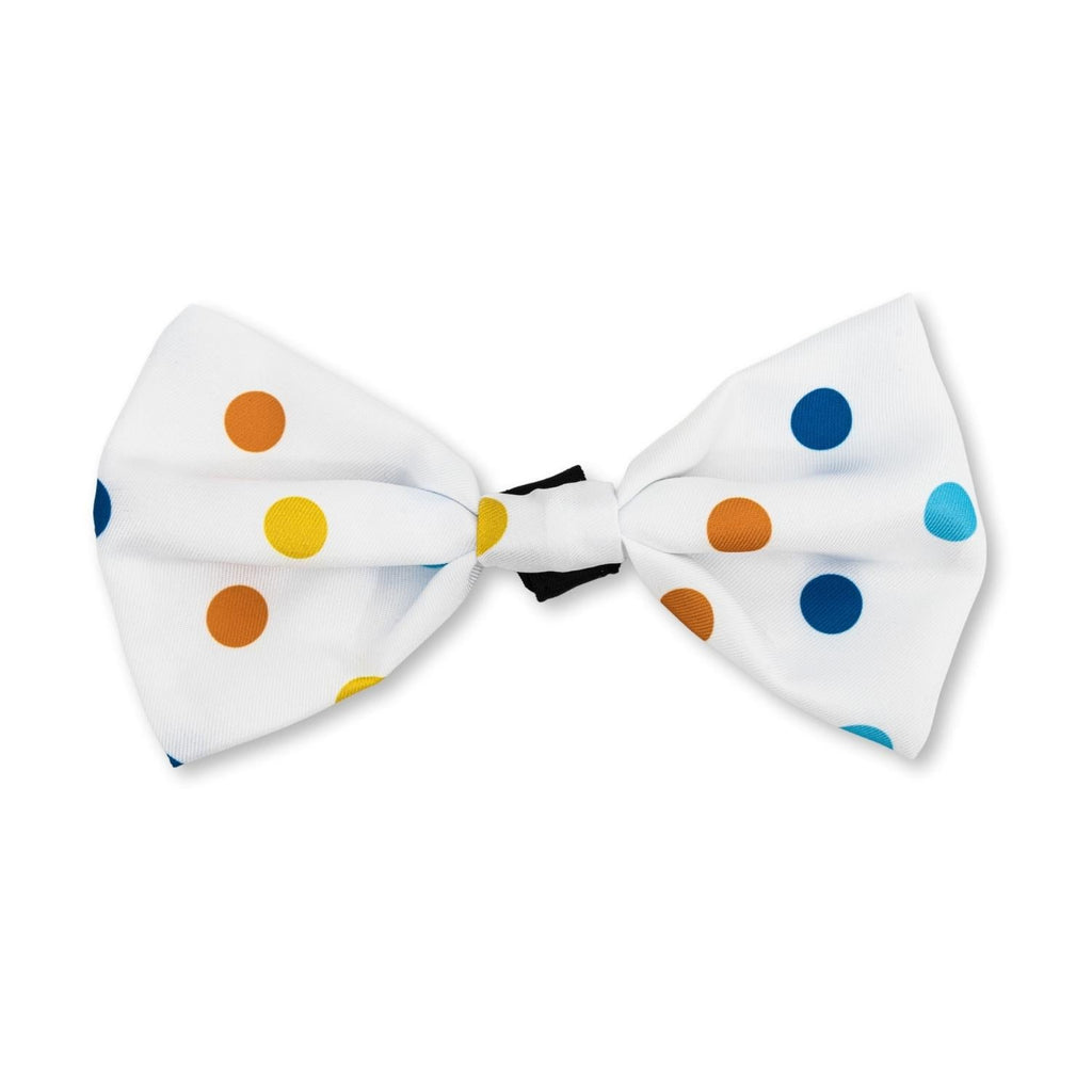 4-Piece Dog Birthday Kit – Celebrate in Style with Bandana, Hat, Bow Tie & Plush Toy by American Pet Supplies