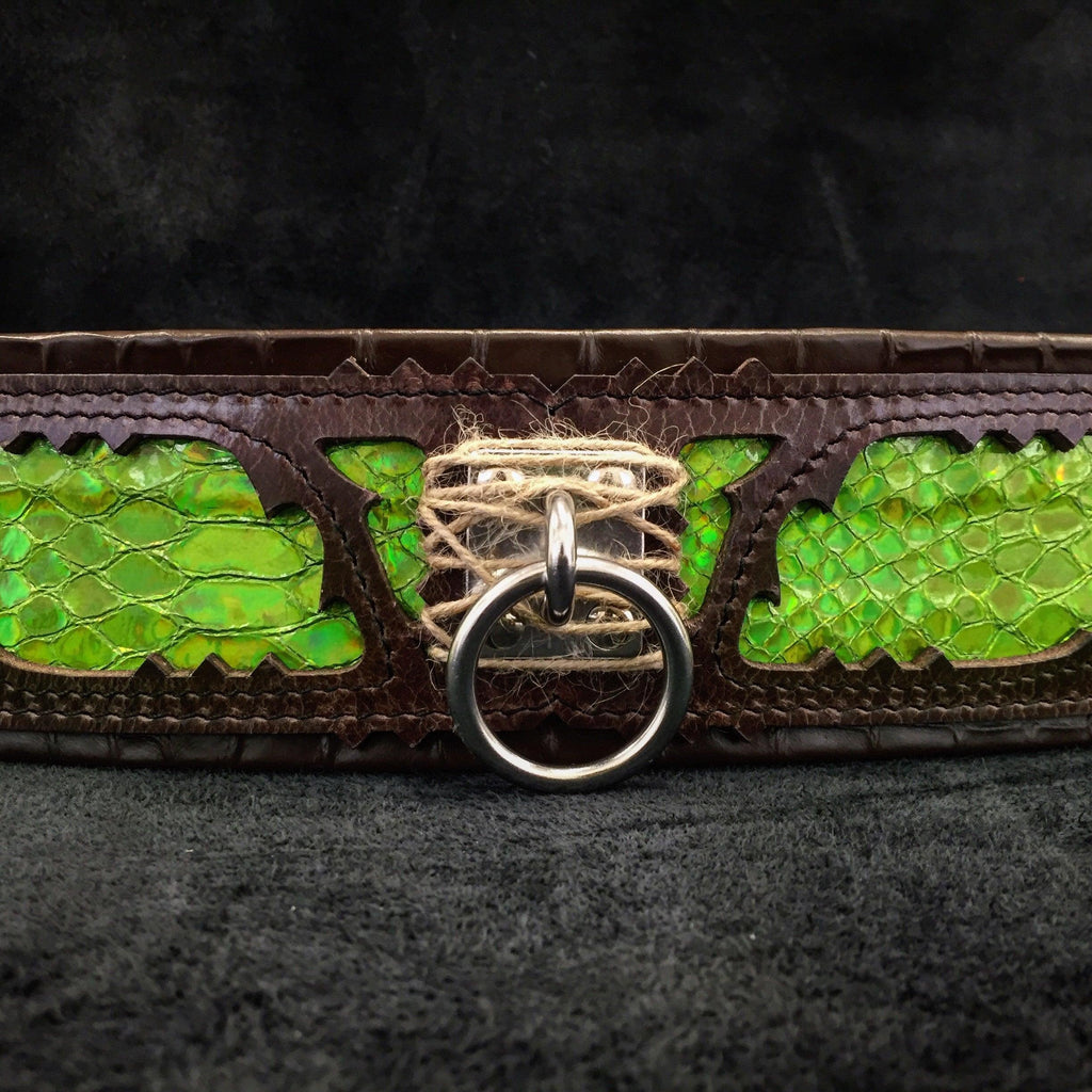 The ''Venom'' collar by Bestia Dog Gear