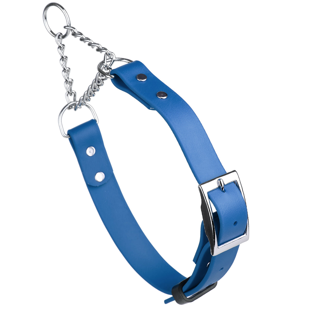 Biothane Adjustable Martingale Collar with Metal Buckle by Dogline