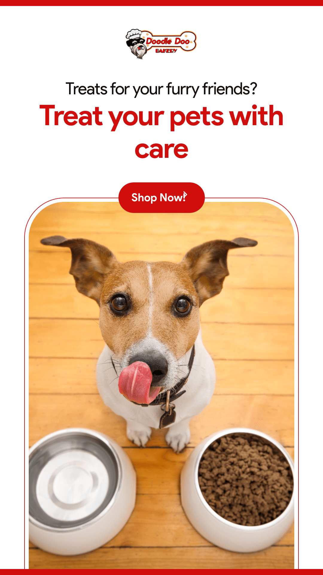 Party Bag Treat Blend 1lb - Homemade Dog Treats by Doodle Doo Bakery