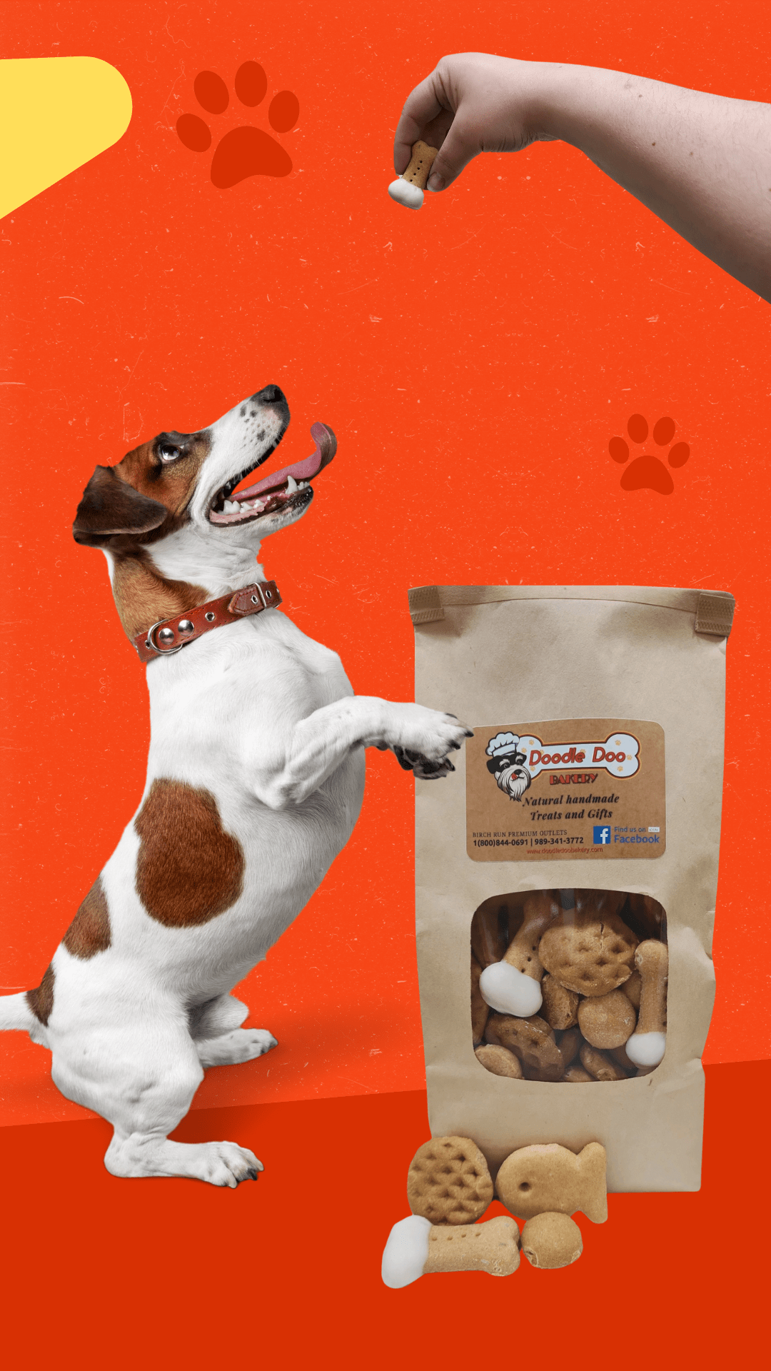Party Bag Treat Blend 1lb - Homemade Dog Treats by Doodle Doo Bakery