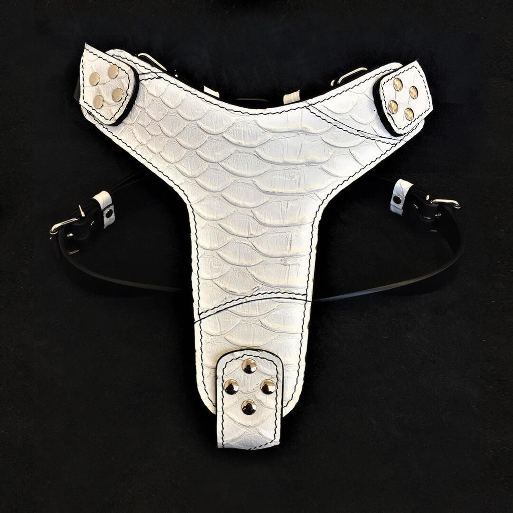 The ''Dragon Scale'' harness by Bestia Dog Gear