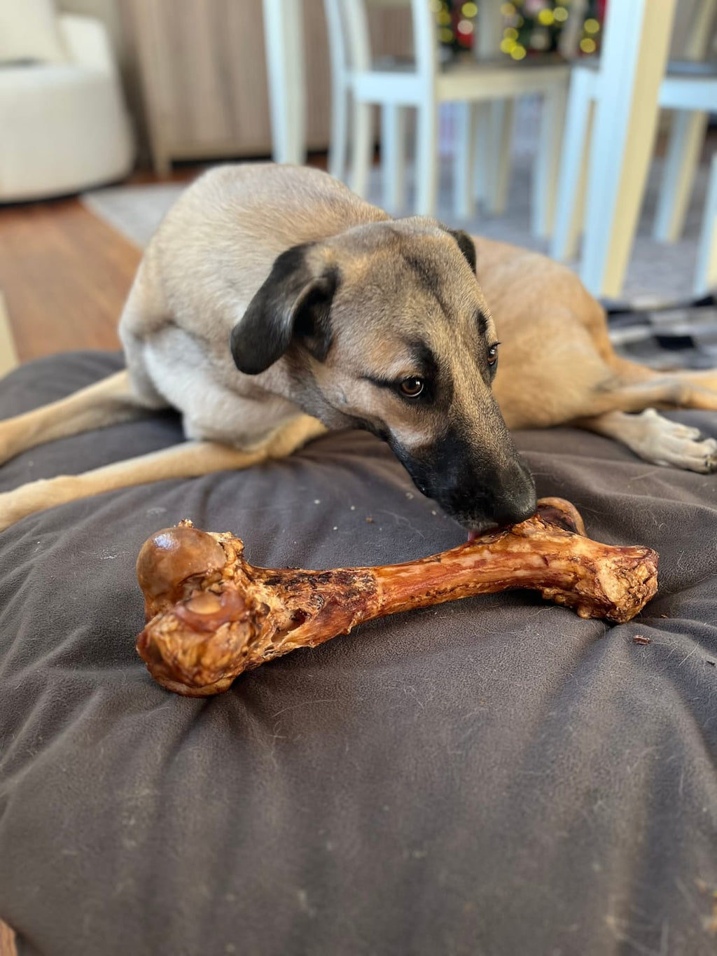 Monster Femur Bone by Bully Bunches