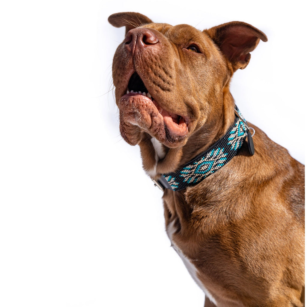 Bora Bora Sambboho dog collar (with center D-ring) by Sambboho