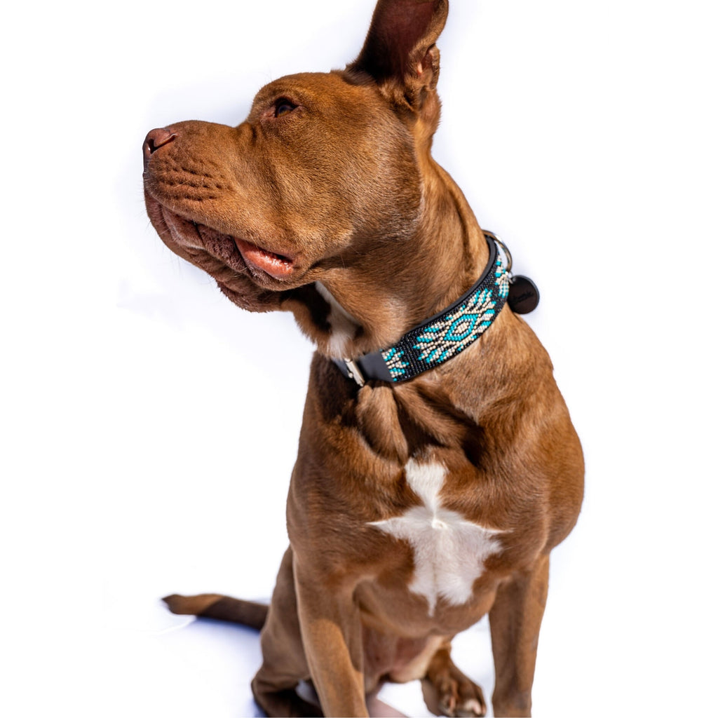 Bora Bora Sambboho dog collar (with center D-ring) by Sambboho