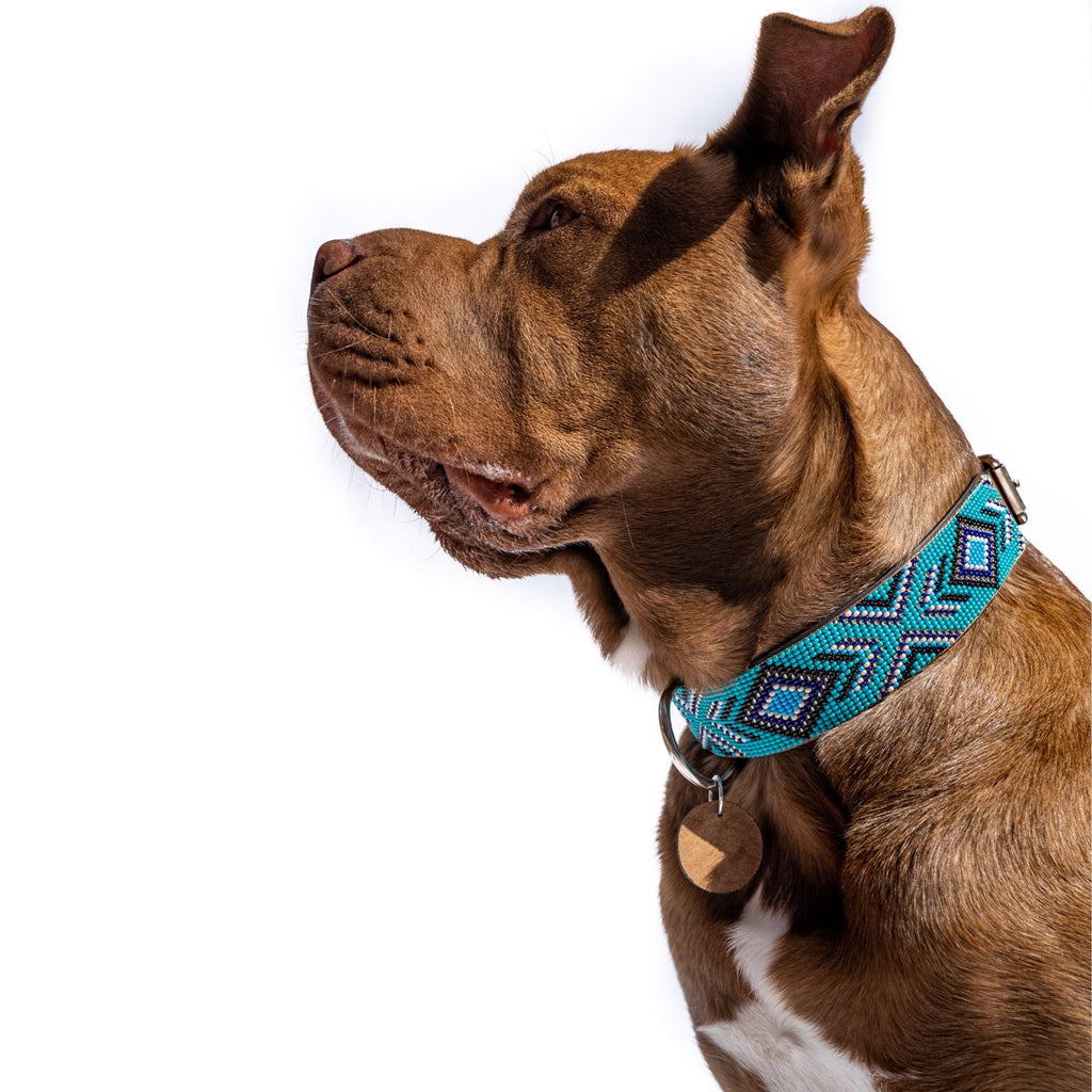 Saint Tropez Sambboho dog collar (with center D-ring) by Sambboho