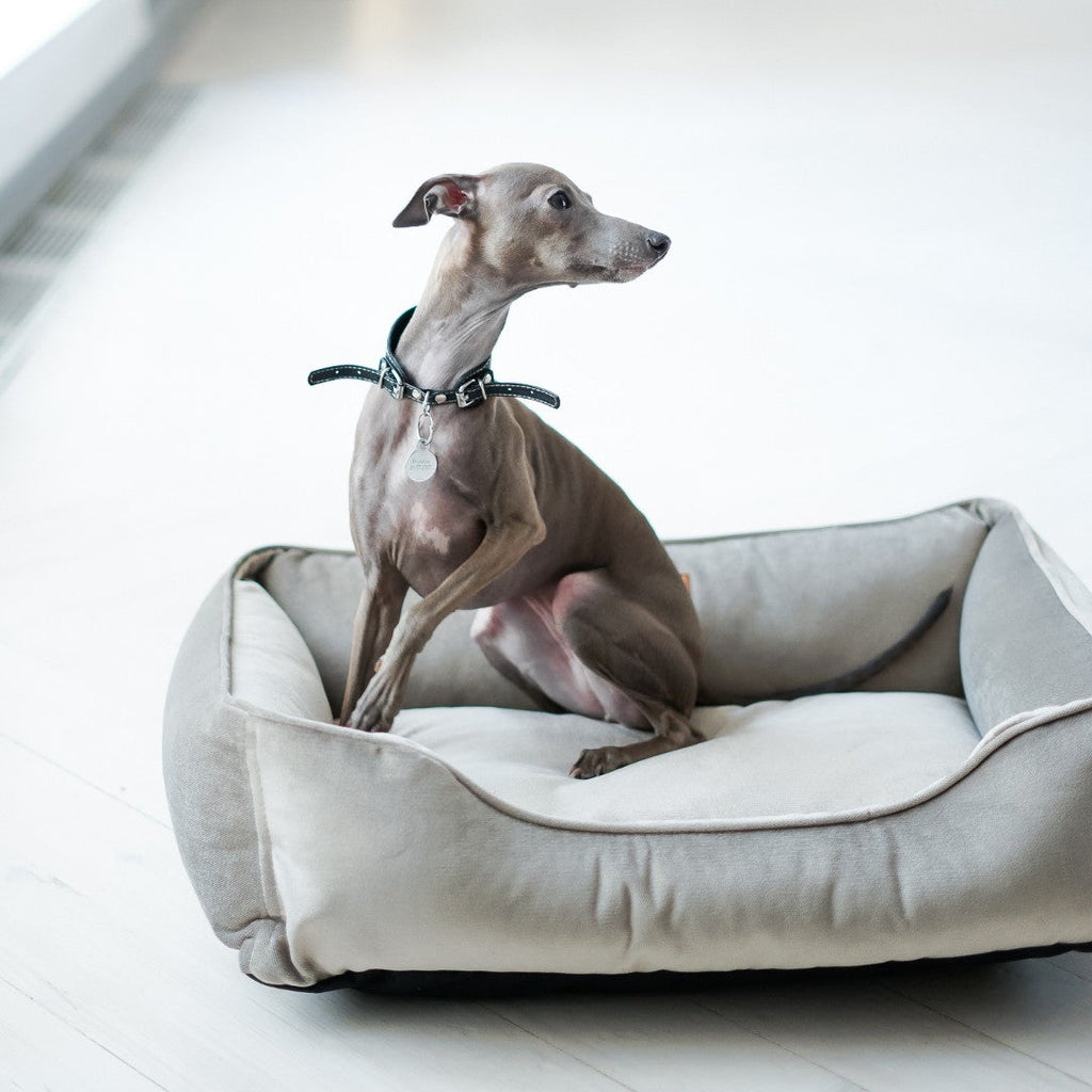 Chester & Lee | Classic Velvet Sleeper Dog Bed Gray by Chester & Lee