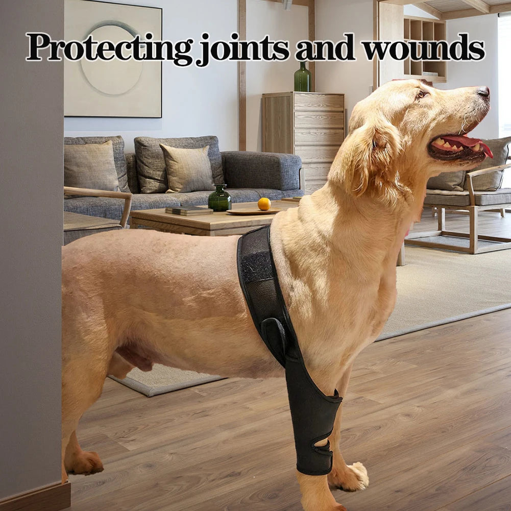 Universal Hip And Knee Brace And Protector For Dogs by Love My Pet