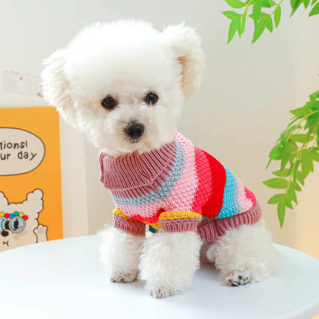 Comfortable Colorful Sweater by VetsPetStore
