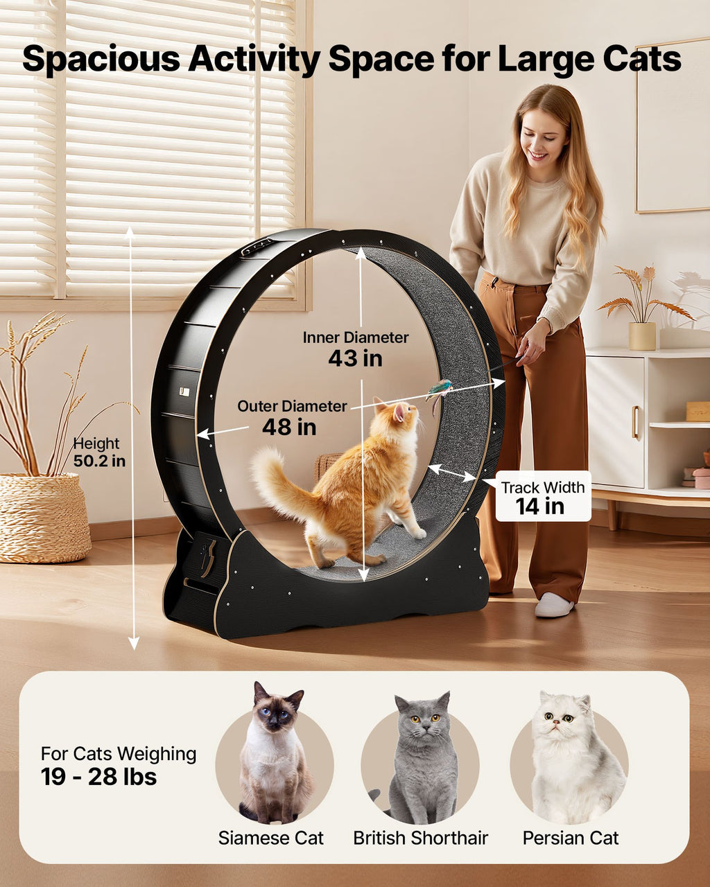 Cat Exercise Wheel, 48 In Wooden Cat Running Wheel For Indoor Cats Up To 28 Lbs, Black by VetsPetStore