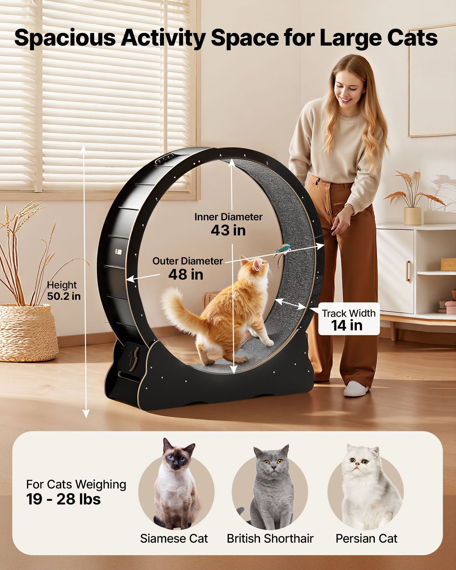 Cat Exercise Wheel, 48 In Wooden Cat Running Wheel For Indoor Cats Up To 28 Lbs, Black by VetsPetStore